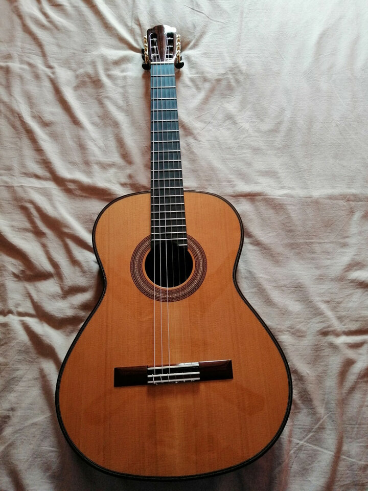 Guitarra Clásica Martinez Bavaria C