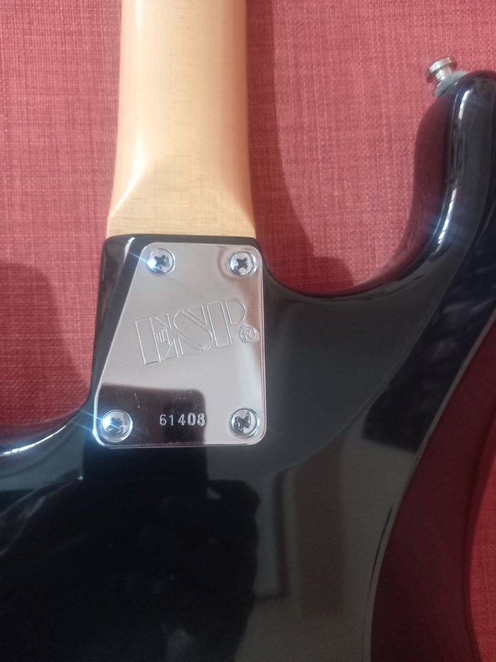 ESP Traditional de 1992