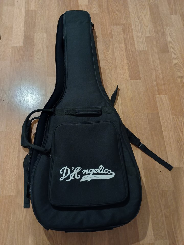 Funda guitarra eléctrica D.Angelico