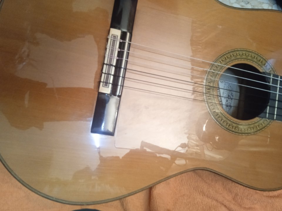 Flamenca Valeriano Bernal modelo"sueño" 2001