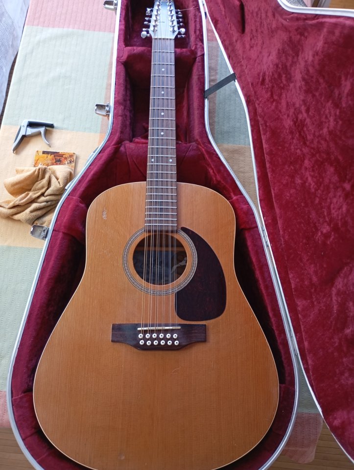 Guitarra seagull S12 electroacustica
