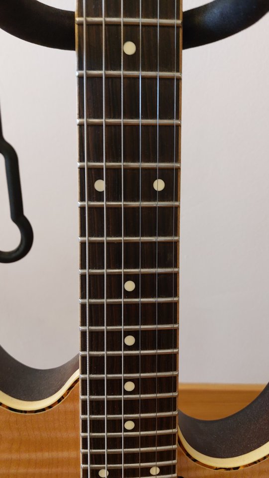 IBANEZ RG EW 521 FM