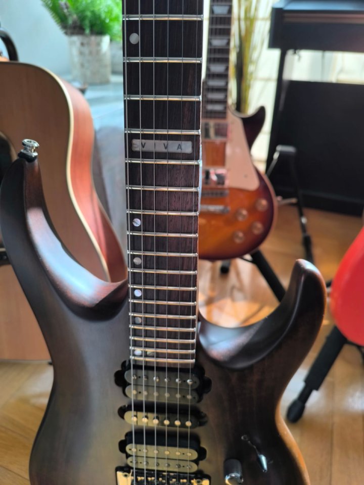 RESERVADA Cort VIVA Series Muy Mejorada, Floyd Rose Fijo (o no).