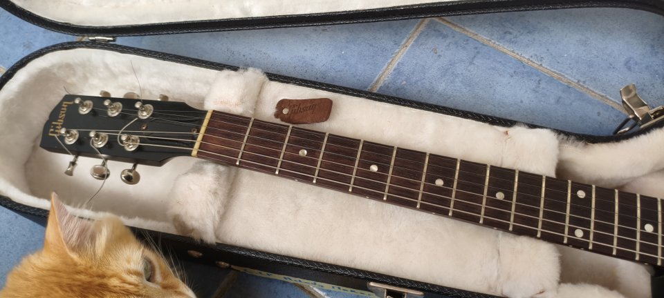 Gibson Melody Maker Reissue 1959 Vintage Sunburt de 2009 de segunda mano · Foto 9 de 10 · Sevilla · 1500 €