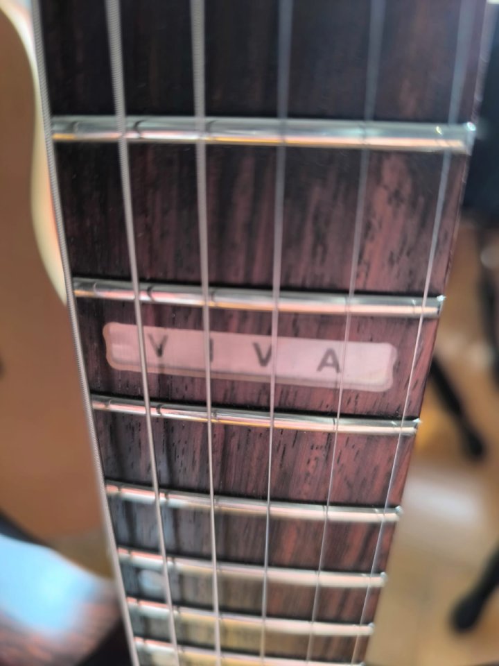 RESERVADA Cort VIVA Series Muy Mejorada, Floyd Rose Fijo (o no).