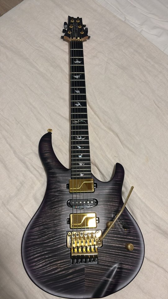 Chleo Limited Edition | Herman Li Signature Model | Charcoal Purple Burst PRS Guitars de segunda mano · Foto 2 de 8 · Navarra · 10000 €