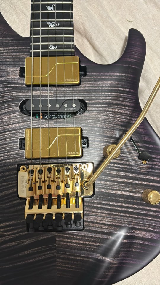 Chleo Limited Edition | Herman Li Signature Model | Charcoal Purple Burst PRS Guitars de segunda mano · Foto 3 de 8 · Navarra · 10000 €