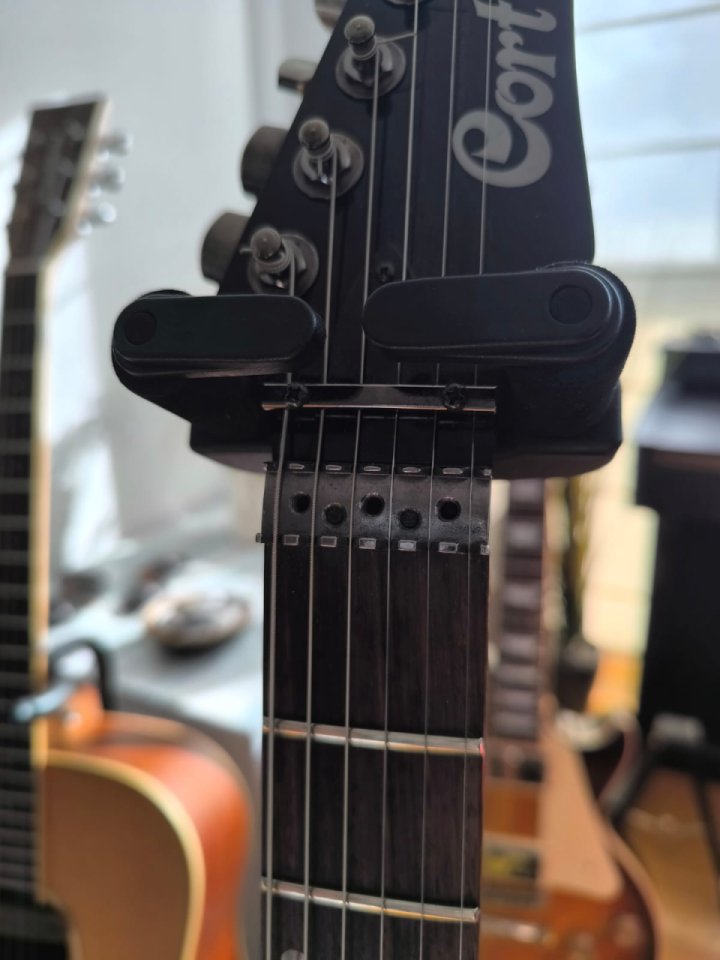 RESERVADA Cort VIVA Series Muy Mejorada, Floyd Rose Fijo (o no).