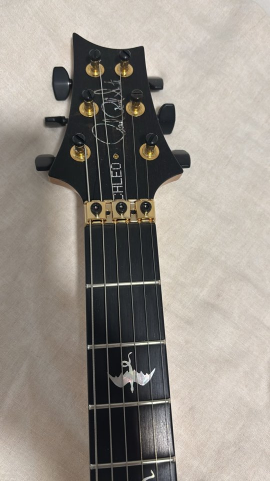 Chleo Limited Edition | Herman Li Signature Model | Charcoal Purple Burst PRS Guitars de segunda mano · Foto 5 de 8 · Navarra · 10000 €