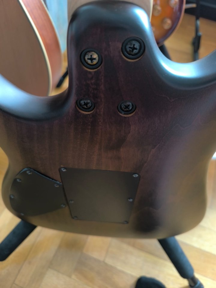 RESERVADA Cort VIVA Series Muy Mejorada, Floyd Rose Fijo (o no).