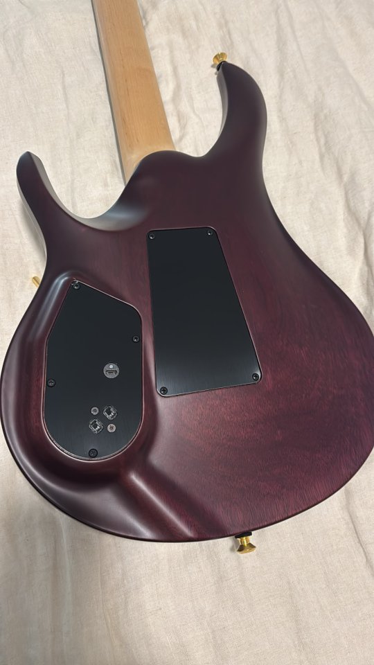 Chleo Limited Edition | Herman Li Signature Model | Charcoal Purple Burst PRS Guitars de segunda mano · Foto 6 de 8 · Navarra · 10000 €