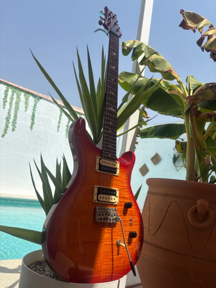 PRS SE Custom 24-08 de segunda mano · Foto 10 de 10 · Sevilla · 699 €
