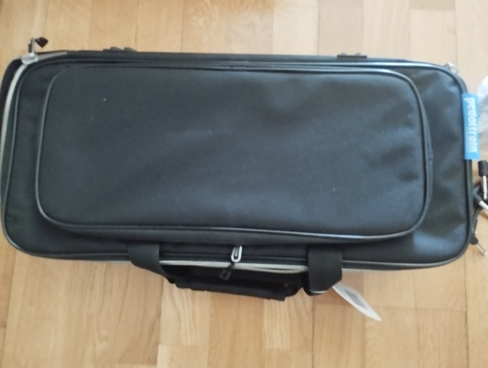 PEDALERA PEDALTRAIN de segunda mano · Foto 3 de 3 · Madrid · 95 €