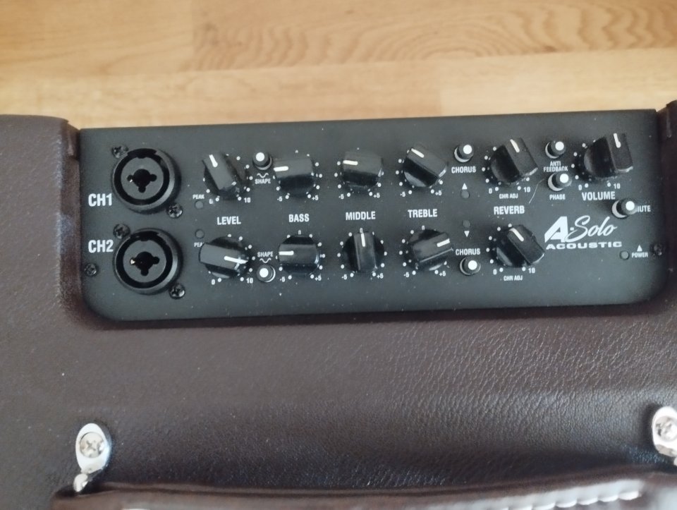 LANEY A SOLO ACUSTIC de segunda mano · Foto 2 de 3 · Madrid · 180 €