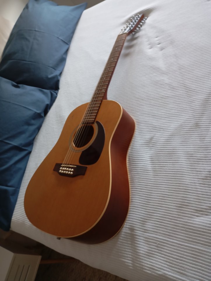 Guitarra seagull S12 electroacustica