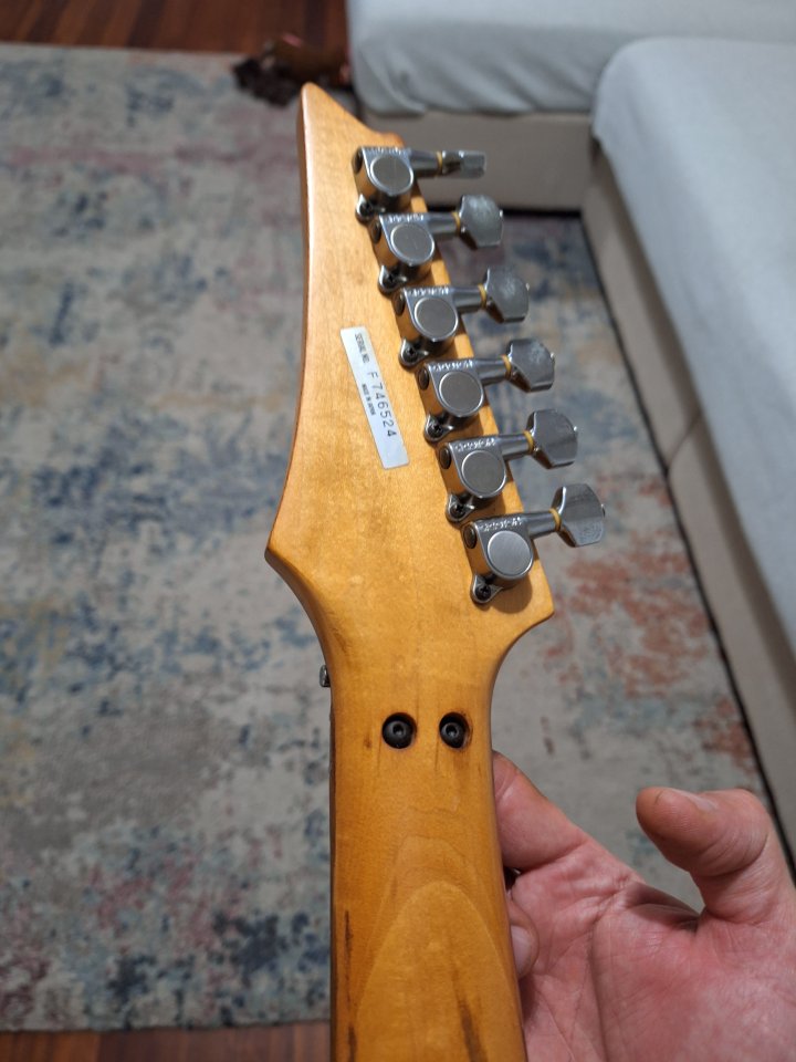 Ibanez RG665 rarísima de segunda mano · Foto 6 de 10 · Cantabria · 550 €