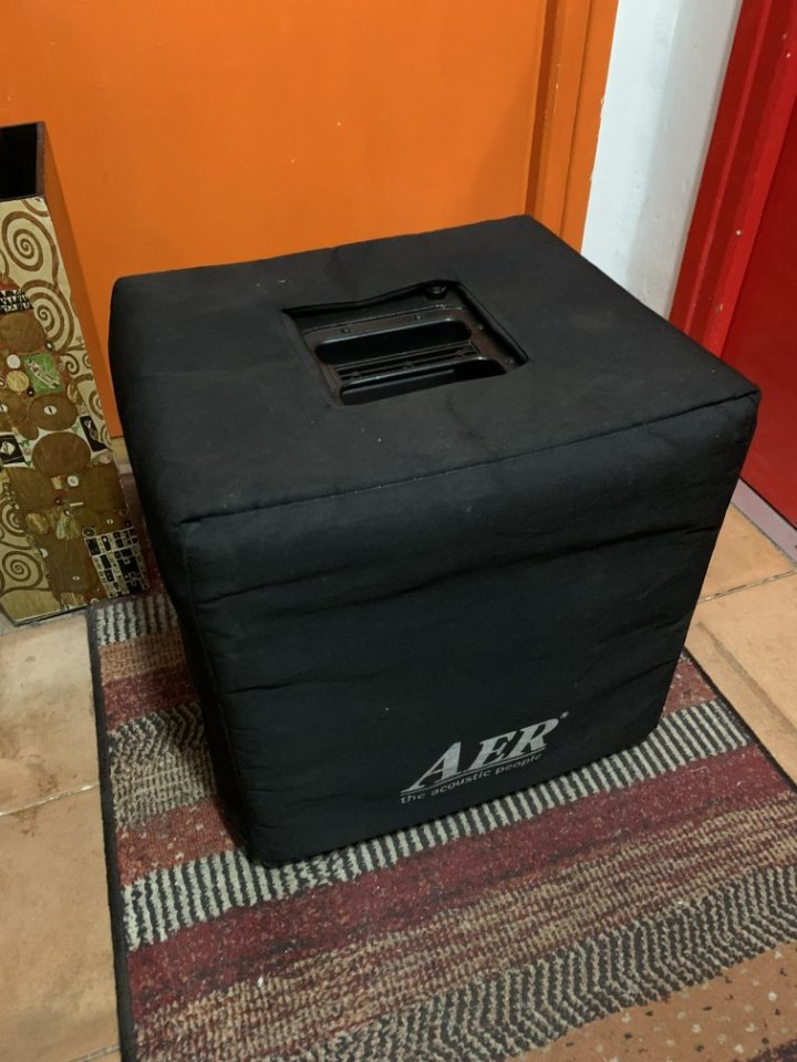 AER BassCube 2 (combo de bajo alemán de boutique 550W) "recustomizado" de segunda mano · Foto 10 de 10 · Cantabria · 1650 €