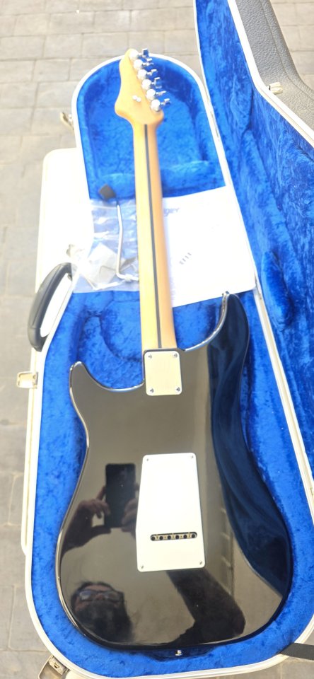 Vigier Expert Retro 54 o cambio por Stratocaster custom shop