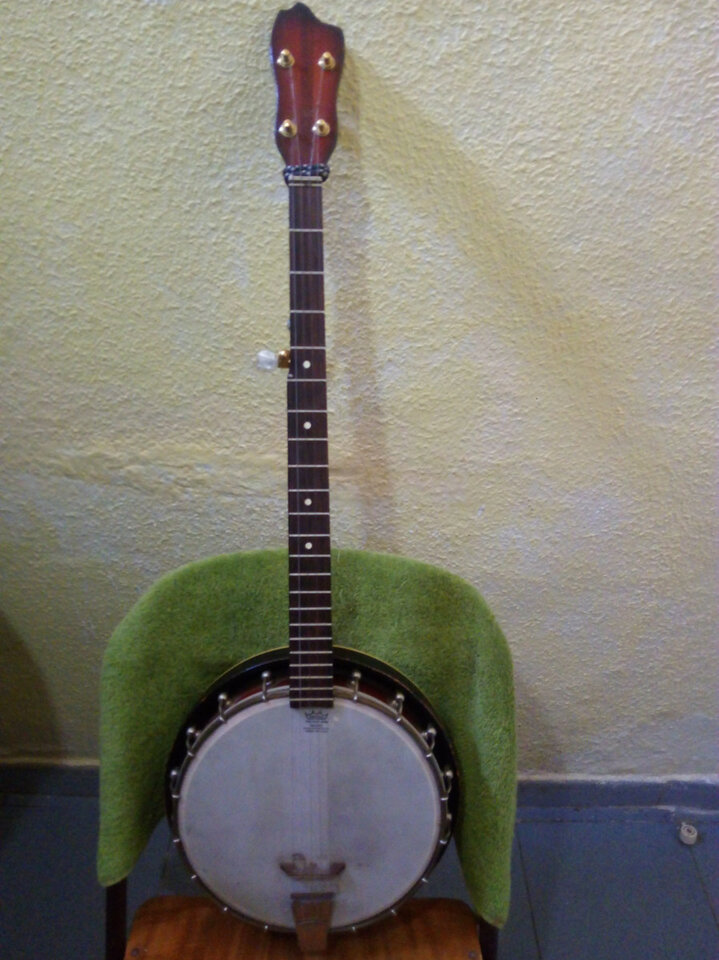 Banjo de 5 cuerdas