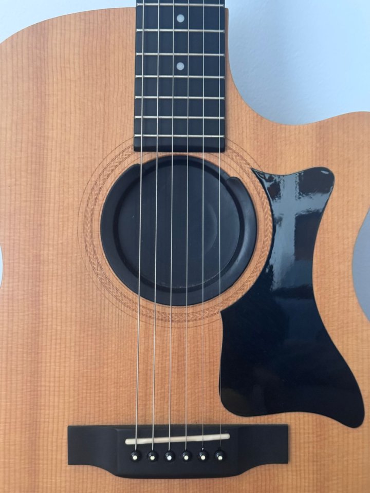 Guitarra Acústrica Sigma GTCE+