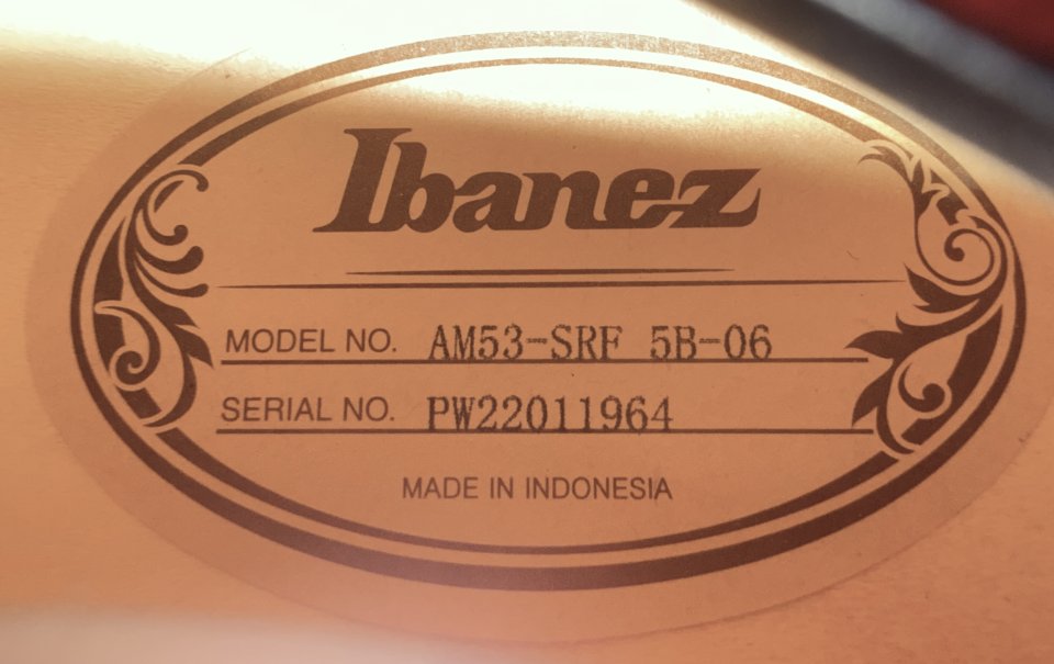 Vendo Ibanez Artcore AM53 SRF Impecable – Mejorada con P90 de segunda mano · Foto 8 de 10 · Valencia · 260 €