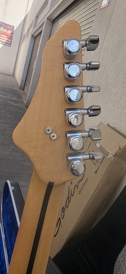 Vigier Expert Retro 54 o cambio por Stratocaster custom shop