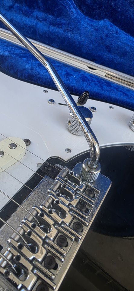 Vigier Expert Retro 54 o cambio por Stratocaster custom shop