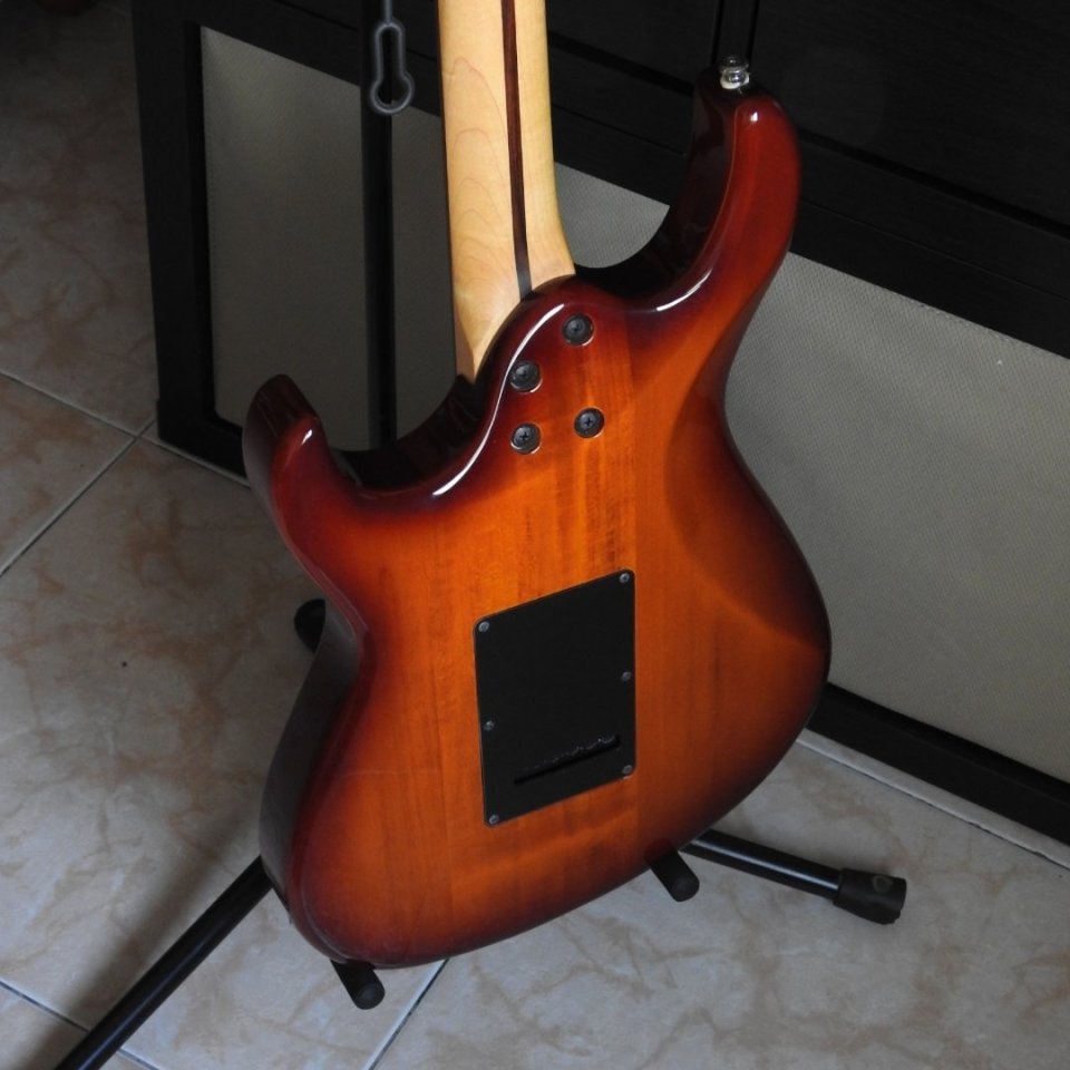 Guitarra Cort G250 de segunda mano · Foto 2 de 6 · Huelva · 200 €