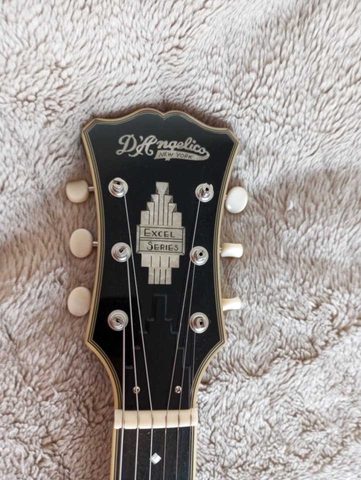 D'Angelico Excel Mini DC Tour de segunda mano · Foto 5 de 10 · Madrid · 575 €