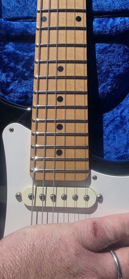 Vigier Expert Retro 54 o cambio por Stratocaster custom shop