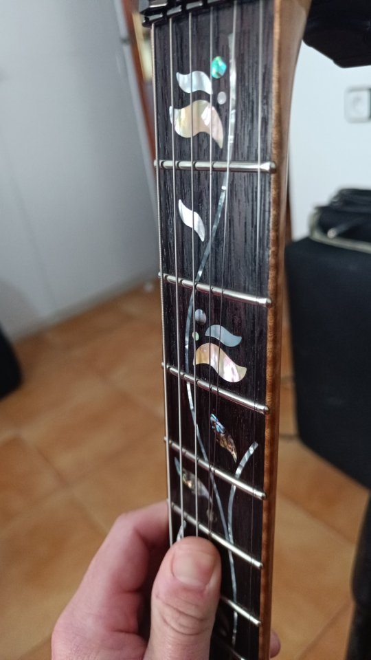 Ibanez RG8570Z J.Custom