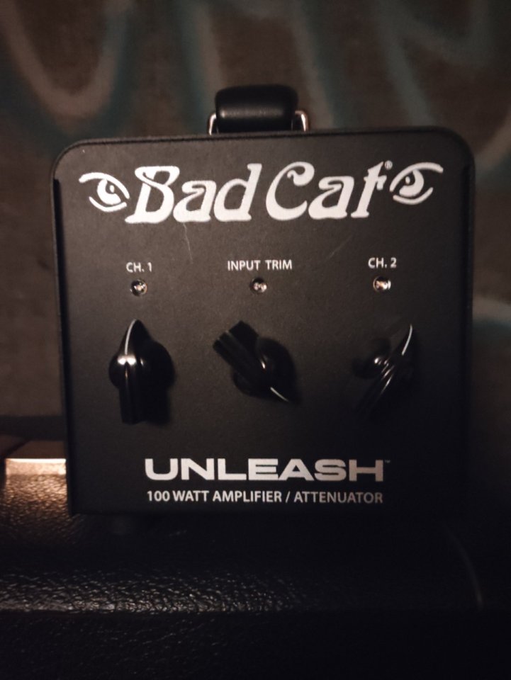 Marshall 1987x + bad cat unleash de segunda mano · Foto 6 de 6 · Madrid · 1300 €
