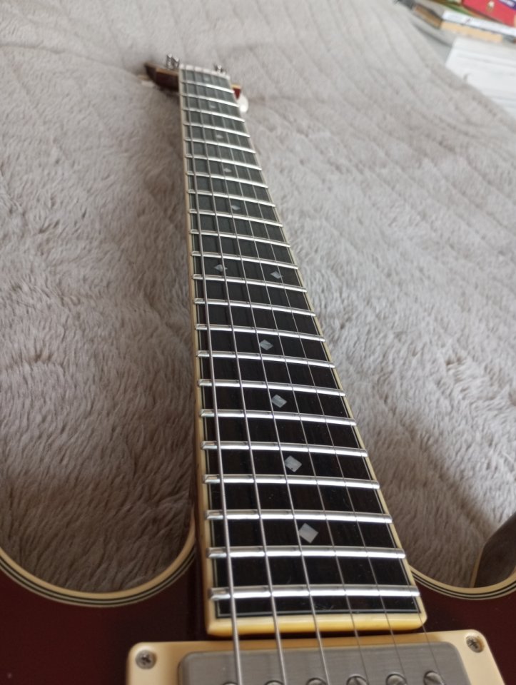 D'Angelico Excel Mini DC Tour de segunda mano · Foto 6 de 10 · Madrid · 575 €
