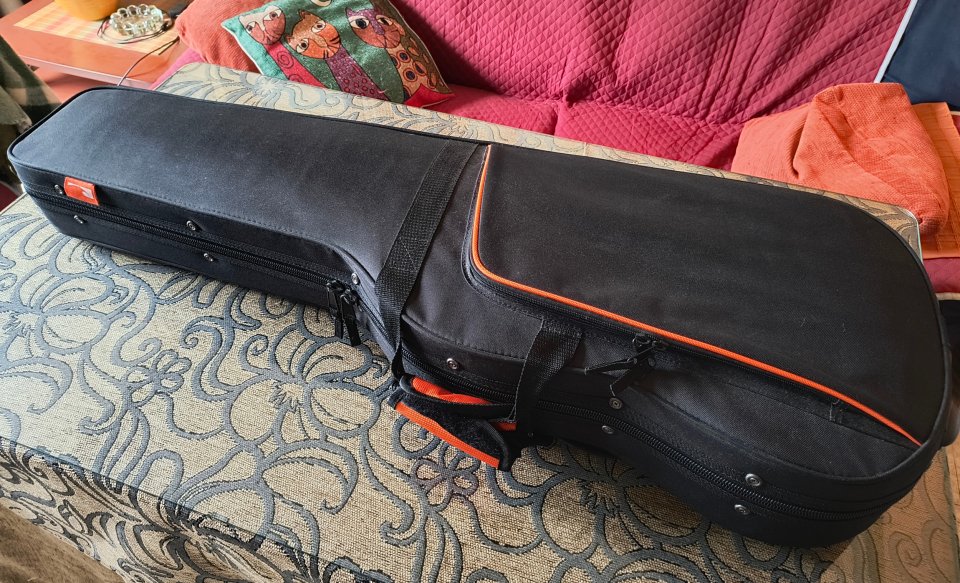 Estuche de Foam Ashton Arm2400gs con envío de segunda mano · Foto 2 de 7 · Sevilla · 52 €