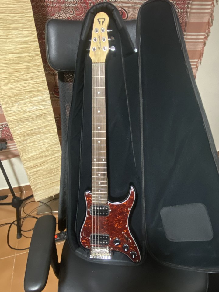 Guitarra de viaje Traveler de segunda mano · Foto 1 de 8 · Madrid · 100 €