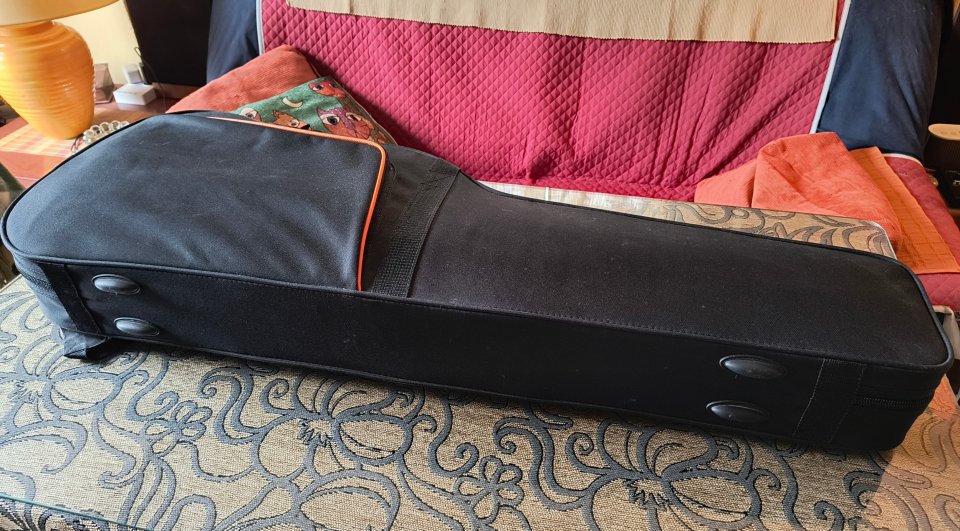 Estuche de Foam Ashton Arm2400gs con envío de segunda mano · Foto 3 de 7 · Sevilla · 52 €