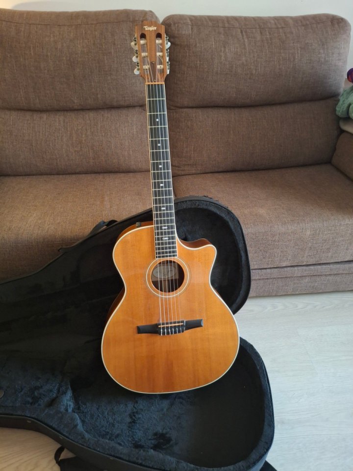 Taylor 414ce-N (nylon) 14 trastes.