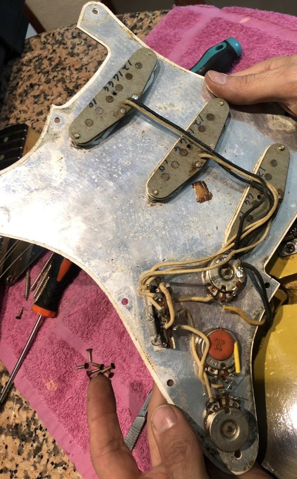 Fender stratocaster 1966