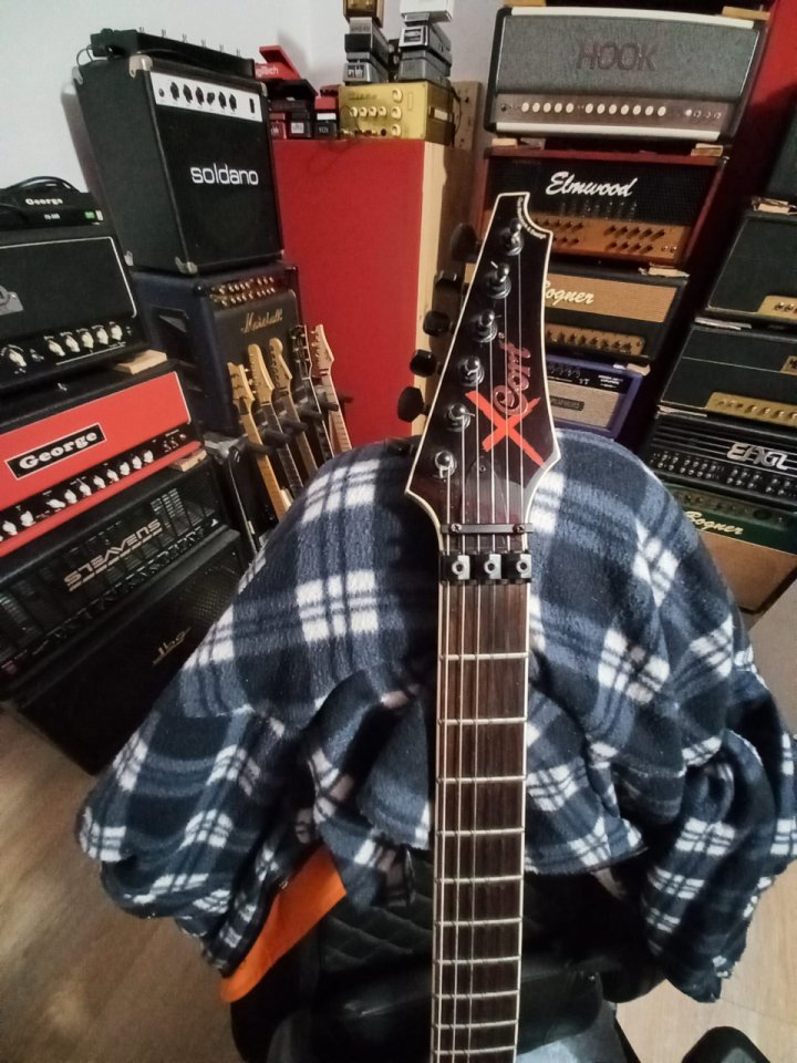 Cort x Custom Made in Korea