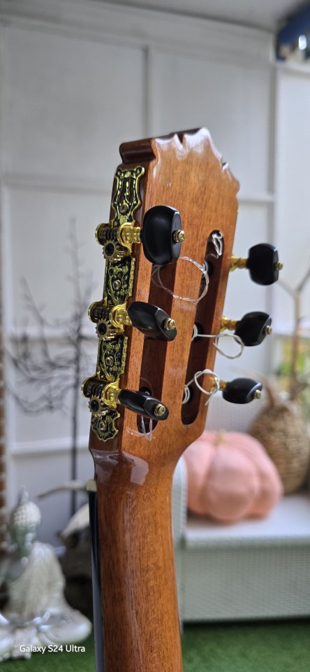 Flamenca MR de segunda mano · Foto 6 de 10 · Madrid · 499 €