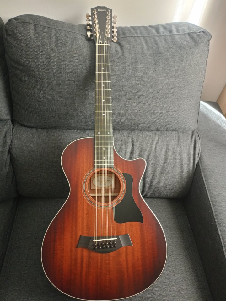 Guitarra acústica Taylor 362ce 12 cuerdas 12-fret de segunda mano · Foto 1 de 9 · Barcelona · 1500 €