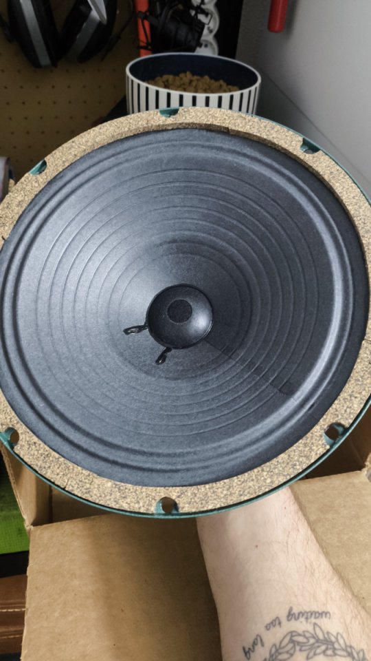 Júpiter LC10 25w 8 ohmios