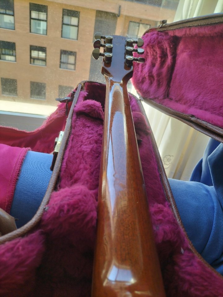Gibson ES-335 Dot Figured 2001 de segunda mano · Foto 9 de 10 · Valencia · 2600 €