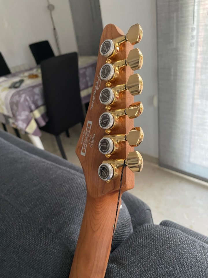 Ibanez THBB10 de segunda mano · Foto 9 de 10 · Barcelona · 1400 €
