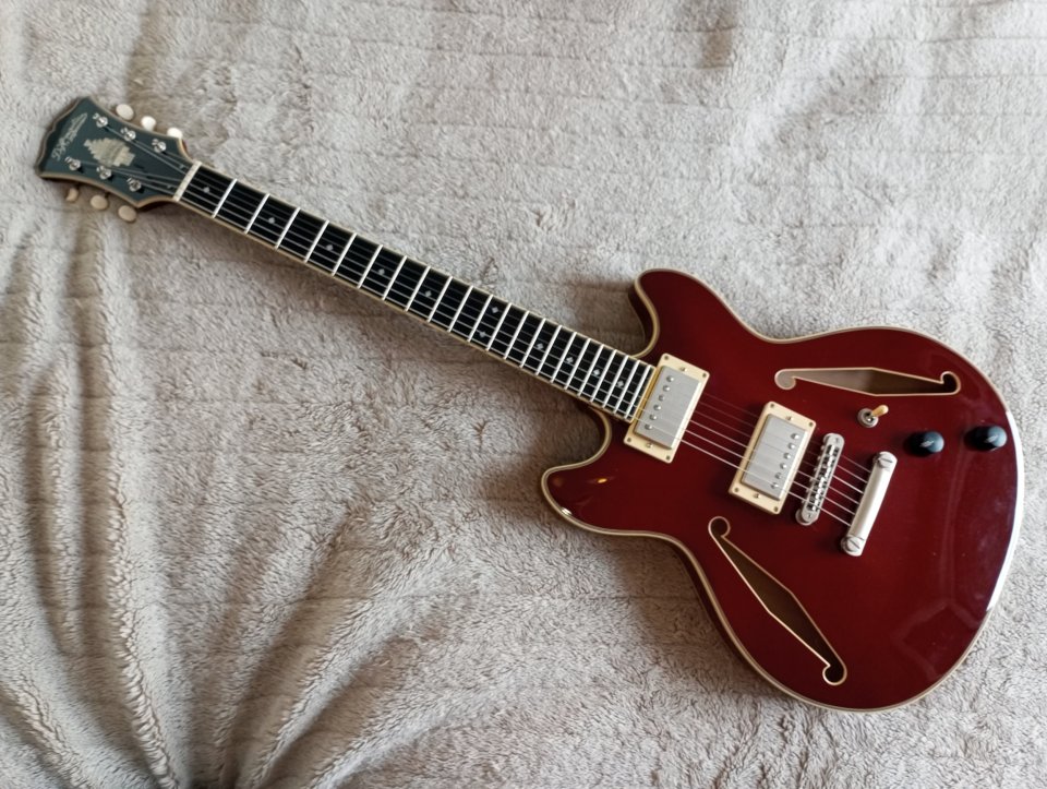 D'Angelico Excel Mini DC Tour de segunda mano · Foto 8 de 10 · Madrid · 575 €