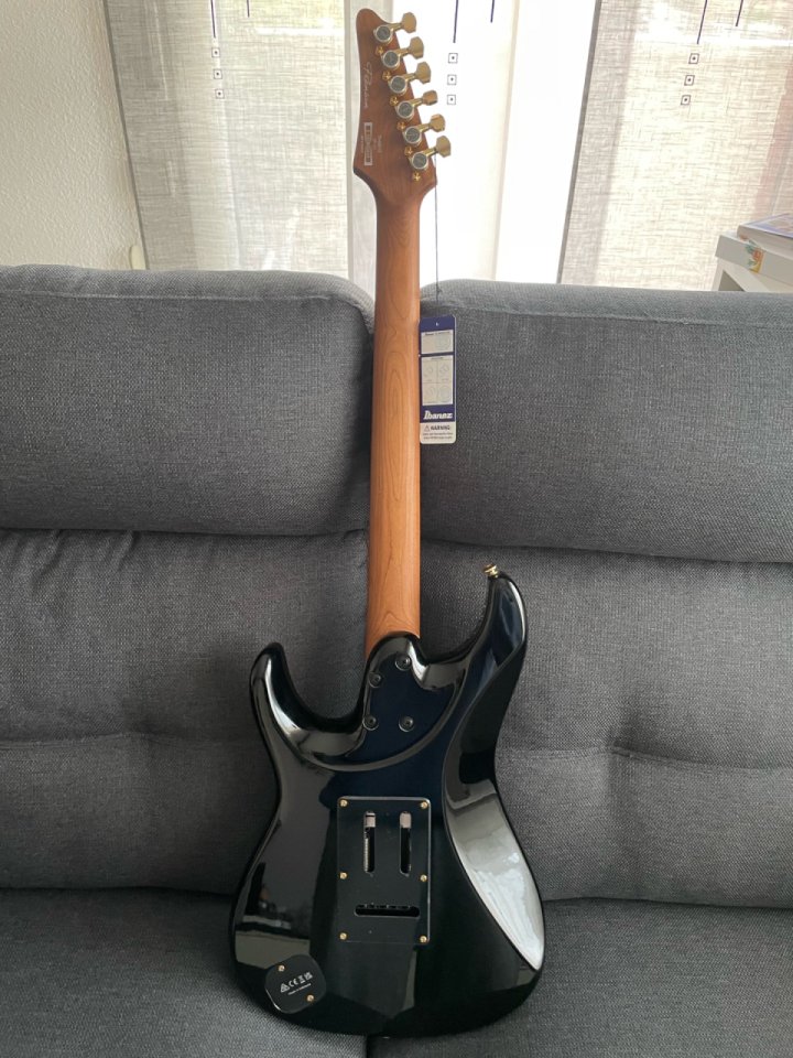 Ibanez THBB10 de segunda mano · Foto 7 de 10 · Barcelona · 1400 €