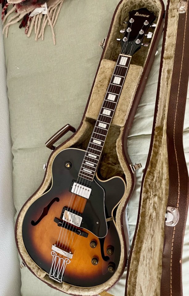 Ibanez FG-100 BS de segunda mano · Foto 2 de 10 · Granada · 1990 €