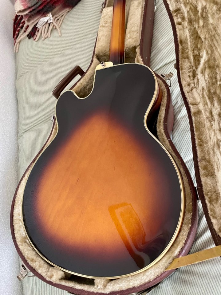 Ibanez FG-100 BS de segunda mano · Foto 4 de 10 · Granada · 1990 €