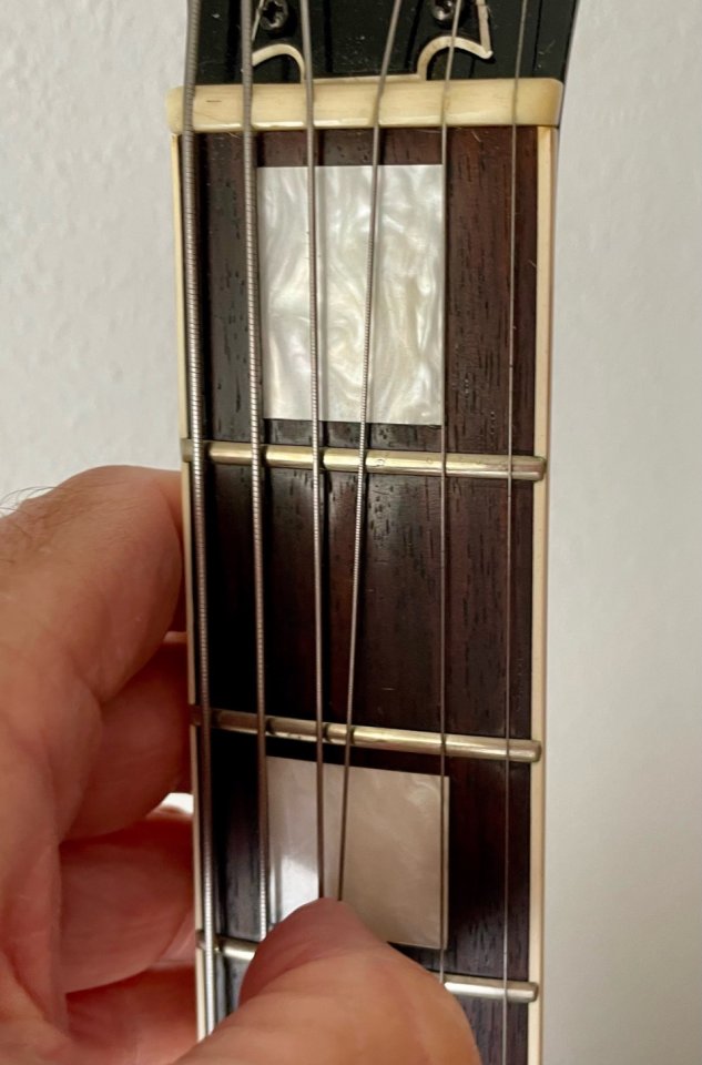 Ibanez FG-100 BS de segunda mano · Foto 6 de 10 · Granada · 1990 €