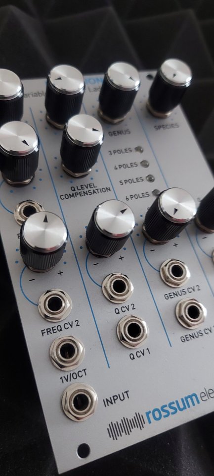 ROSSUM Electro-Music Evolution de segunda mano · Foto 1 de 6 · Barcelona · 380 €